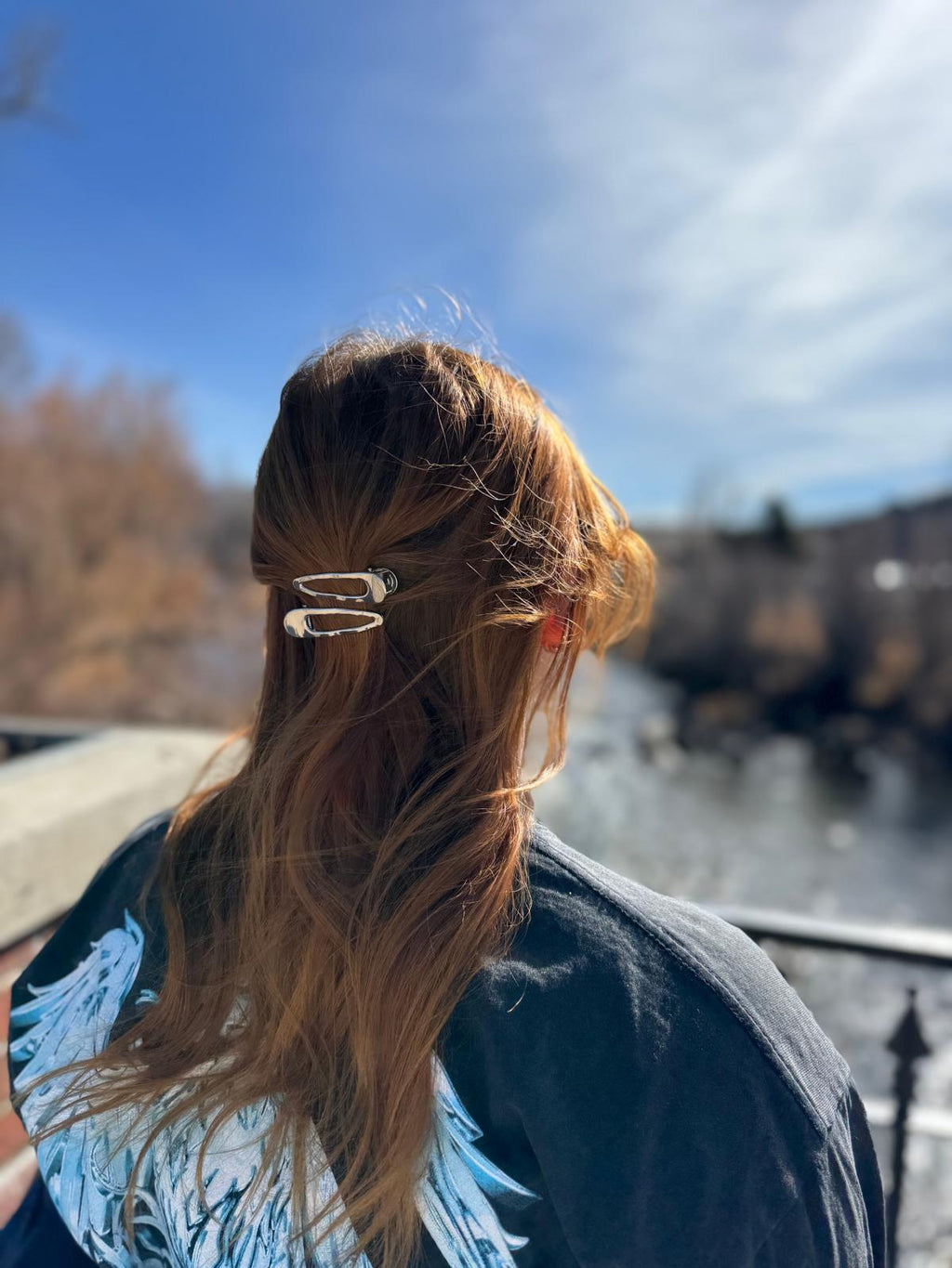 Sylvie Clip - Set of 2